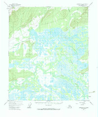 Livengood A-5 1951 topographic map thumbnail