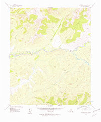 Livengood B-1 1954 topographic map thumbnail