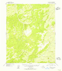 Livengood D-3 1954 topographic map thumbnail