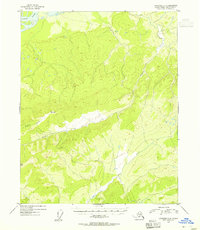 Livengood D-4 1954 topographic map thumbnail