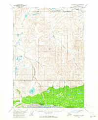 McCarthy D-2 1959 topographic map thumbnail