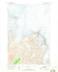 McCarthy D-8 1960 topographic map thumbnail