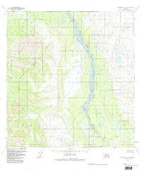 McGrath A-4 1954 topographic map thumbnail