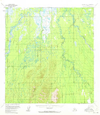 McGrath C-4 1953 topographic map thumbnail