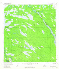 McGrath D-3 1954 topographic map thumbnail