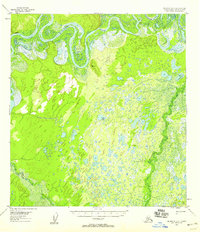 McGrath D-5 1953 topographic map thumbnail