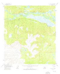 Mount Hayes C-1 1955 topographic map thumbnail