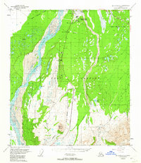 Mount Hayes D-4 1950 topographic map thumbnail