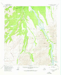 Mount McKinley C-1 1954 topographic map thumbnail