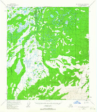Mount McKinley D-2 1954 topographic map thumbnail