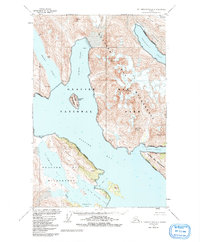 Mt. Fairweather D-2 1948 topographic map thumbnail