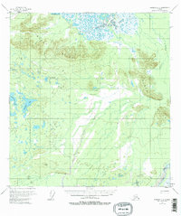 Nabesna C-2 1955 topographic map thumbnail