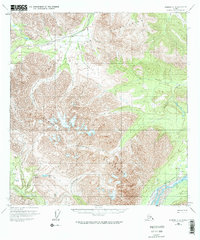 Nabesna C-4 1960 topographic map thumbnail
