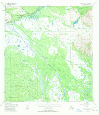 Nabesna C-6 1948 topographic map thumbnail