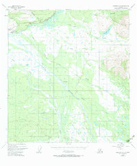 Nabesna C-6 1948 topographic map thumbnail