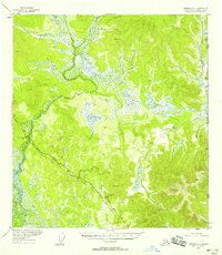 Nabesna D-1 topographic map thumbnail