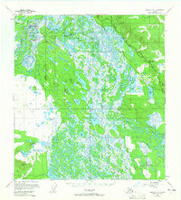 Nabesna D-2 1955 topographic map thumbnail