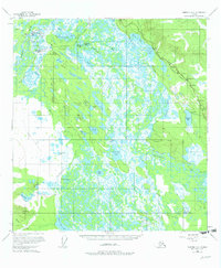 Nabesna D-2 1955 topographic map thumbnail