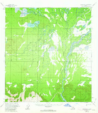 Nabesna D-3 1955 topographic map thumbnail