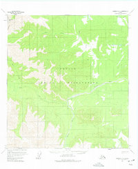 Nabesna D-4 1960 topographic map thumbnail