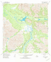Nabesna D-6 1949 topographic map thumbnail