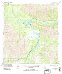 Nabesna D-6 1949 topographic map thumbnail