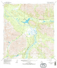 Nabesna D-6 1949 topographic map thumbnail