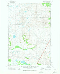 Naknek D-1 1951 topographic map thumbnail