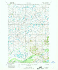 Naknek D-2 1952 topographic map thumbnail
