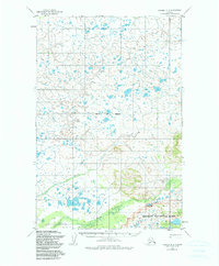 Naknek D-2 1952 topographic map thumbnail