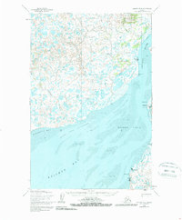 Naknek D-4 1952 topographic map thumbnail