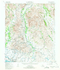 Nome C-1 1950 topographic map thumbnail