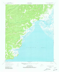 Norton Bay D-5 1950 topographic map thumbnail