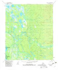 Nulato D-2 1954 topographic map thumbnail