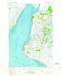 Nushagak Bay D-2 1952 topographic map thumbnail