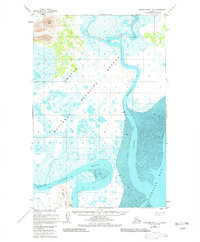 Nushagak Bay D-3 1948 topographic map thumbnail
