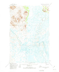 Nushagak Bay D-4 1948 topographic map thumbnail