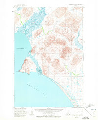 Nushagak Bay D-5 1950 topographic map thumbnail