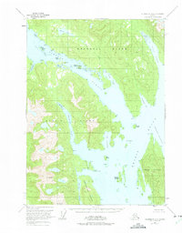 Petersburg A-1 1951 topographic map thumbnail