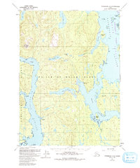 Petersburg A-4 1949 topographic map thumbnail