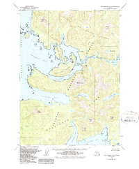 Petersburg A-5 1949 topographic map thumbnail