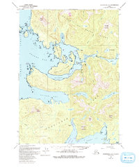 Petersburg A-5 1949 topographic map thumbnail