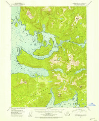 Petersburg A-5 1953 topographic map thumbnail