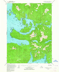 Petersburg A-5 1949 topographic map thumbnail