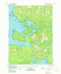 Petersburg A-5 1949 topographic map thumbnail