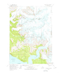 Petersburg D-2 1961 topographic map thumbnail