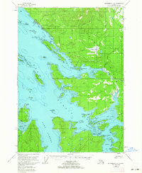 Petersburg D-6 1951 topographic map thumbnail