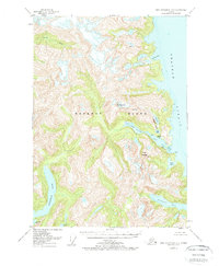 Port Alexander D-3 1951 topographic map thumbnail