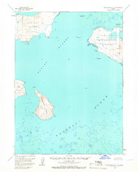 Port Moller A-5 1963 topographic map thumbnail