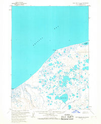 Port Moller D-6 1963 topographic map thumbnail